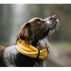 Bufanda para perros SIMO
