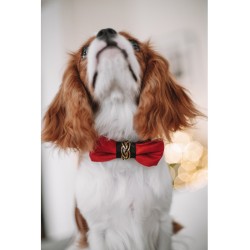 Pajarita para perro Elegance