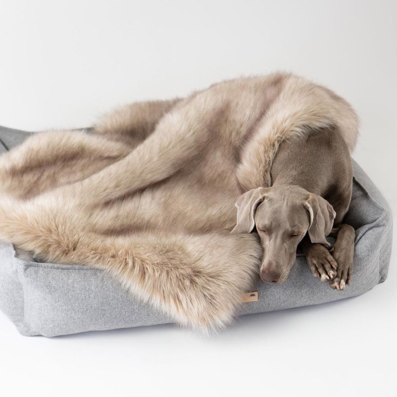 Cama para perros elegante MØVIK Gris