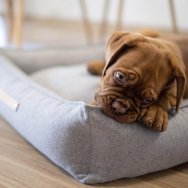 Cama para perros elegante MØVIK Gris