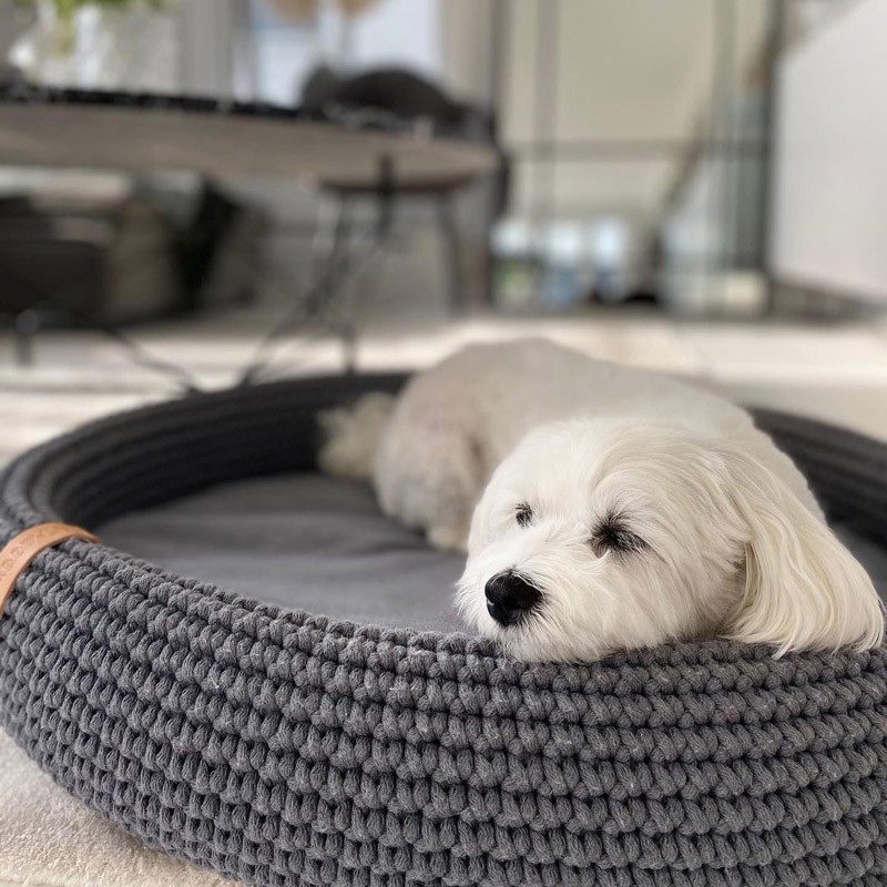 Cama para perros original COCO