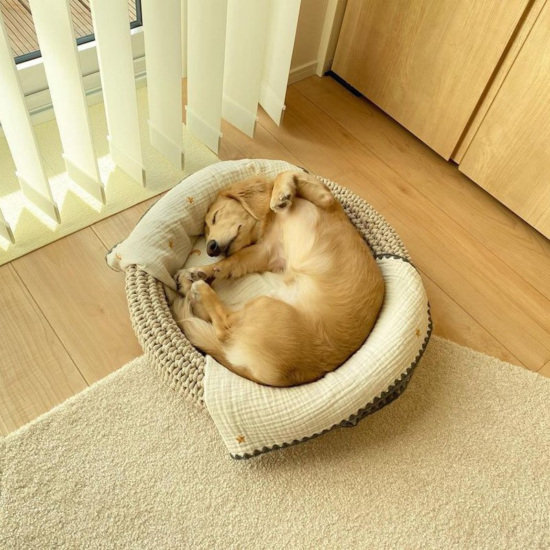 Cama para perros original COCO