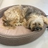 Cama para perros original COCO