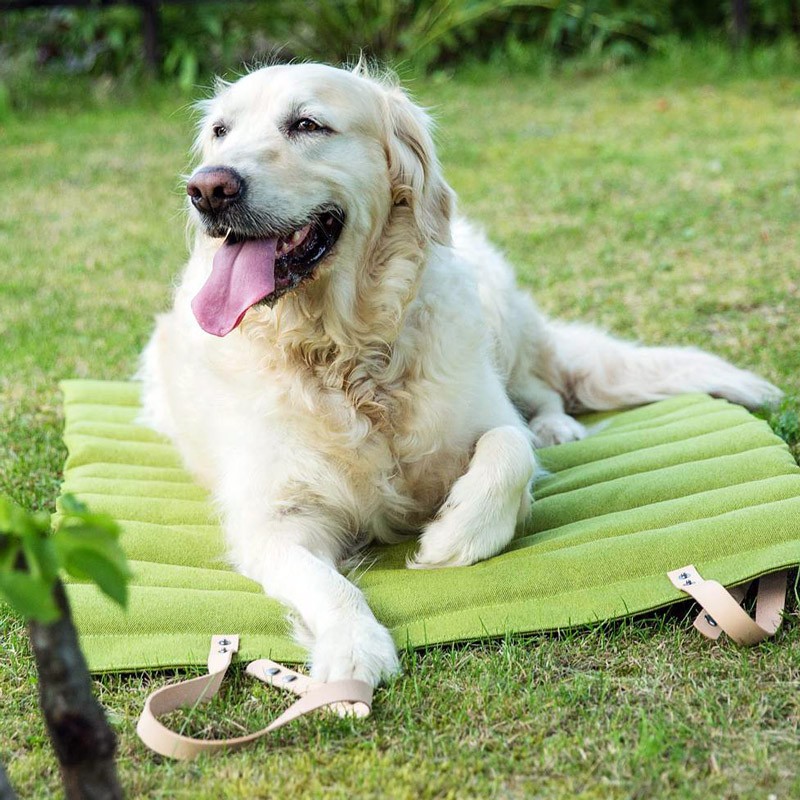 Cama perro verano Fosser Marrón Claro