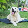 cama fresca para perros Fosser Marrón
