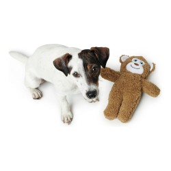 OSO TERNI peluche para perros