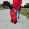 Uppsala para lluvia rojo
