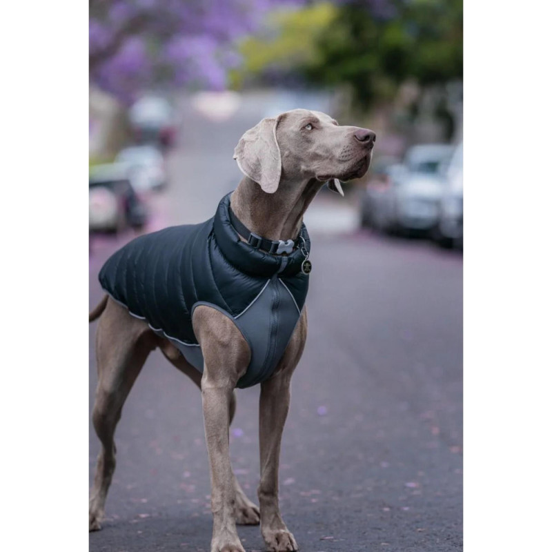 Abrigo reversible Red-Dingo (nebro y gris)