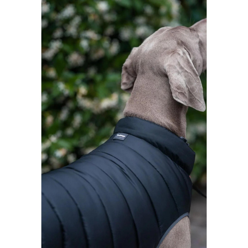 Abrigo reversible Red-Dingo (nebro y gris)