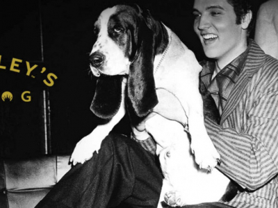 Las 10 mejores canciones sobre perros