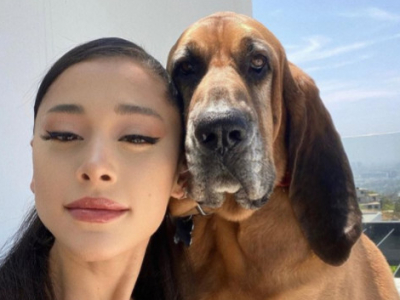 Ariana Grande tiene 13 —¡Sí 13! —Perros rescatados