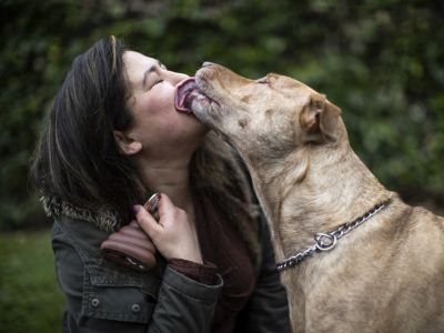 Tuco, el perro que estrena en España la ley de Bienestar Animal