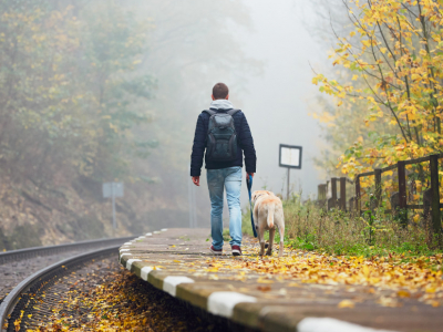 Iniciativa para que viajar en tren con perros grandes sea una realidad