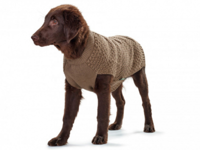 Mejores abrigos para perros pequeños: cuál comprar y 5 recomendaciones